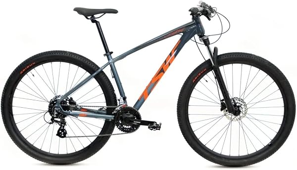 Bicicleta TSW Hunch